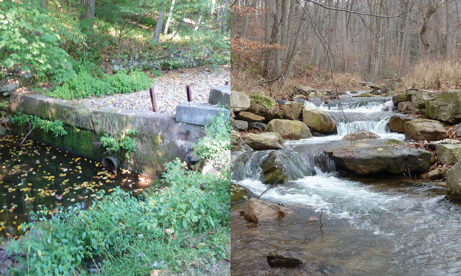 Stream after culvert removal